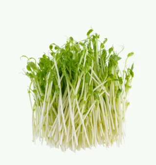Broccoli Microgreens